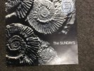 The Sundays Vinyl LP “blind” And “ Reading, Writing And Arithmetic “