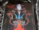DISMEMBER like an everflowing stream VINYL DLP metal entombed carnage EPITAPH