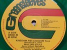Wailing Souls - Kingdom Rise Kingdom Fall - Vinyl Record 12.. - S7814A