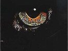 Magnum  - Kingdom Of Madness (LP, Album, RE)