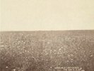 Ash & Clay by The Milk Carton Kids (Record, 2013)