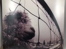 Vs. [LP] by Pearl Jam (Vinyl, Oct-1993, Epic Associated)Sealed