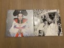Björk Bjork Vinyl Bundle — Homogenic + Vespertine