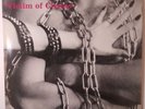 GRAVESTONE VICTIM OF CHAINS VINYL