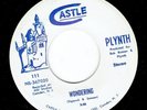 PLYNTH 45 Wondering/Life Beyond The Clouds (Castle) 1971 NJ Hard Rock