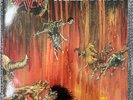 Slayer - Hell Awaits Vinyl LP Roadrunner Records RR 9795