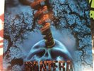 Pantera ‎– Far Beyond Driven Limited White & Blue Marbled Vinyl NEAR MINT