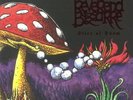 REVEREND BIZARRE - Slice Of Doom (Definitive Edition) - Vinyl (4xLP)