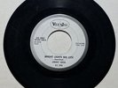 HEAR  RARE R&B BLUES VG+ 45 Jimmy Reed Bright Lights Big City VEE JAY PROMO WLP
