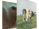 Pink Floyd Atom Heart Mother + Meddle Album 12