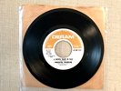 Procol Harum A Whiter Shade Of Pale / Lime Street Blues PROMO Record 45 RPM