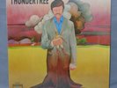 Thundertree '70 psych LP orig Roulette M-/M-