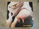 Aerosmith Get A Grip vinyl LP