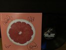 Saves The Day Self Titled TEST PRESSING 12” Vinyl LP Signed Through Being Cool