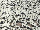 DONNELLY, Stella - Flood - Vinyl (LP)