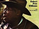 Robert Pete Williams With Big Joe Williams - LP OVP- Pure Pleasure Records ‎225