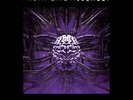 Front Line Assembly - Corrosion - Purple [New Vinyl LP] Colored Vinyl, Purple, R