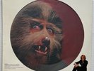WARREN ZEVON Werewolves Of London 1978 US ORG Promo Only 12