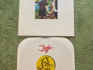 Anal Cunt AxCx Picnic Of Love vinyl Record LP Limited Appeal First record press