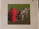 Rush 1982 Signals, Vinyl-LP Excellent Condition Used