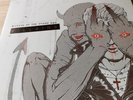 Queens of the Stone Age - ‘Villians’ Double Vinyl LP