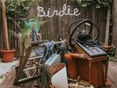Slaughter Beach Dog - Birdie - Olive Green [Used Very Good Vinyl LP] Explicit, C