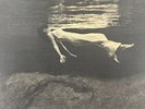Bill Evans & Jim Hall - Undercurrent LP (1962) (Bridgeport Press) (VG+/VG-)