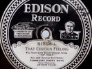 HOT JAZZ Edison Record Tennessee Happy Boys That Certain Feeling Apron Strings
