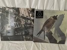 New Vinyl Records: Show Me the Body 