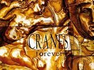 Cranes - Forever [Used Very Good Vinyl LP] Holland - Import