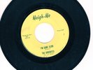 The Dagenites 45 Im Gone Slide/Now That Summers Gone HEIGH HO garage HEAR 138