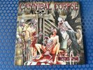 Cannibal Corpse - The Wretched Spawn (2009 Pressing, Purple Vinyl. 180g)