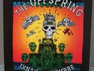 The Offspring Ixnay On The Hombre 12