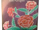 Todd Rundgren - Something/Anything? (VG) Vinyl Record 2 LP w/ Lyrics