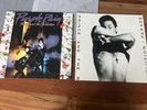 vinyl lp 2 Alben Prince Purple Rain + And The Revolution Parade Rarität