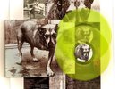 Alice in Chains EU Import Translucent Yellow Double Vinyl LP w/ lyric poster