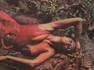 ROXY MUSIC Stranded 1973 or. UK lp NICE condition
