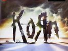 Korn - The Path Of Totality (Vinyl)