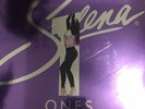 Selena Vinyl Album Record - ($69 Retail) Selena  2 Vinyl Records, Poster