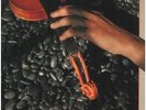 Shankar Touch Me There Zappa Records Vinyl LP