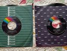 45 RPM LYNYRD SKYNYRD FREE BIRD DOWN SOUTH JUKIN SATURDAY NIGHT SPECIAL MADE IN