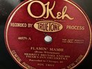 Hot Truetone OKeh 40579 Merritt Brunies Friar's Inn Orchestra (Chicago 1926)