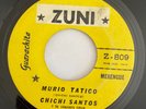 CHICHI SANTOS y CONJUNTO TIPICO - Murio Tatico / MERENGUE 45