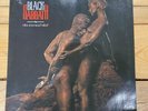 Black Sabbath-The Eternal Idol, LP, 1987, Holland, Vertigo  832 708-1, Gebraucht