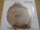 Wilco - A ghost is born Vinyl LP New