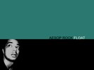 Aesop Rock -- Float LP (Green Vinyl)