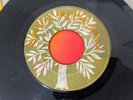 PRINCE BUSTER –WHITE MAN'S HEAVEN BLACK MAN HELL  / DON'T DECEIVE ME ROCKSTEADY