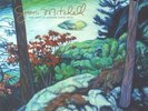 MITCHELL, Joni - The Asylum Albums (1972-1975) (remastered) - Vinyl (5xLP)