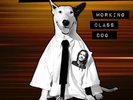 Rick Springfield - Working Class Dog  Limited 40th Edition Green Color Vinyl LP