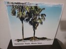 DWIGHT YOAKAM   Swimmin' Pools, Movie Stars BLUE VINYL LP  2016